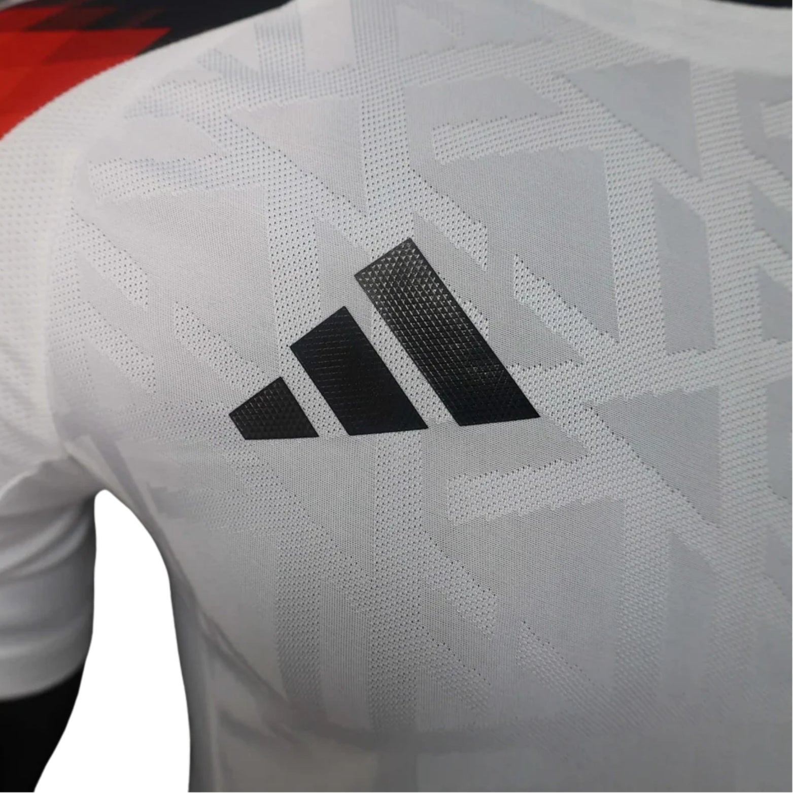 Allemagne Domicile 24/25 - Version Joueur