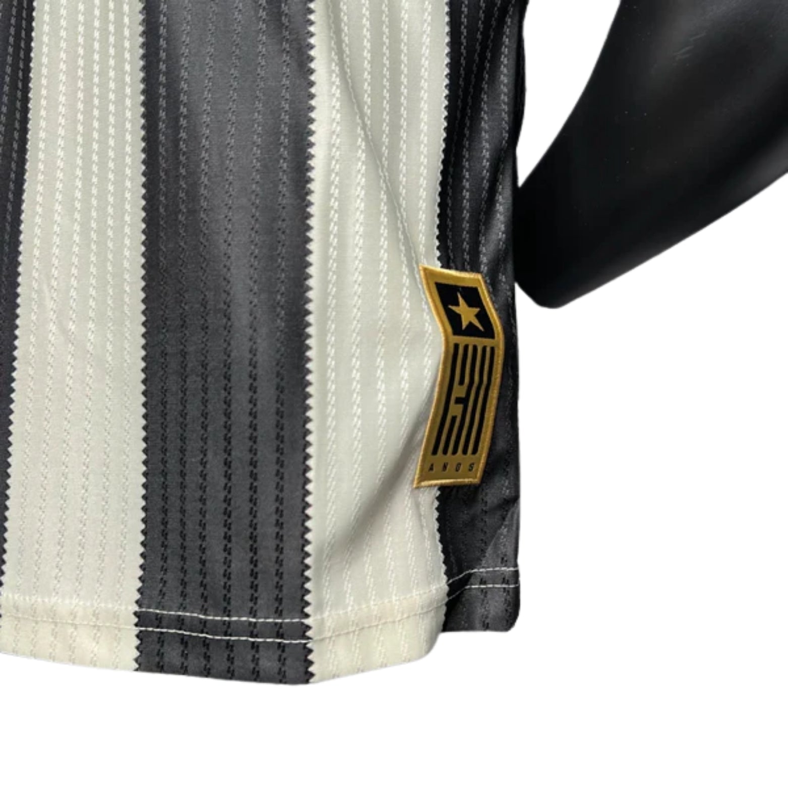 Botafogo Domicile 24/25 - Version Joueur