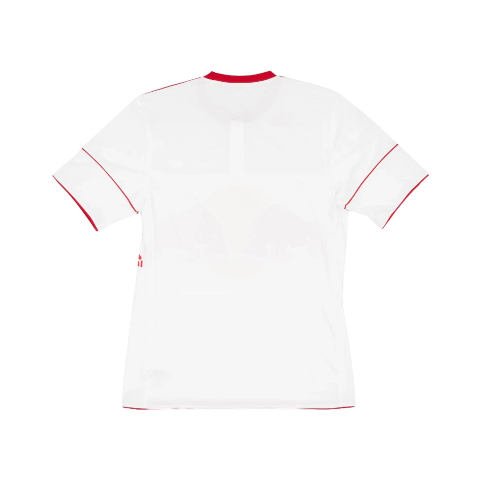 New York Red Bulls Domicile 10/11