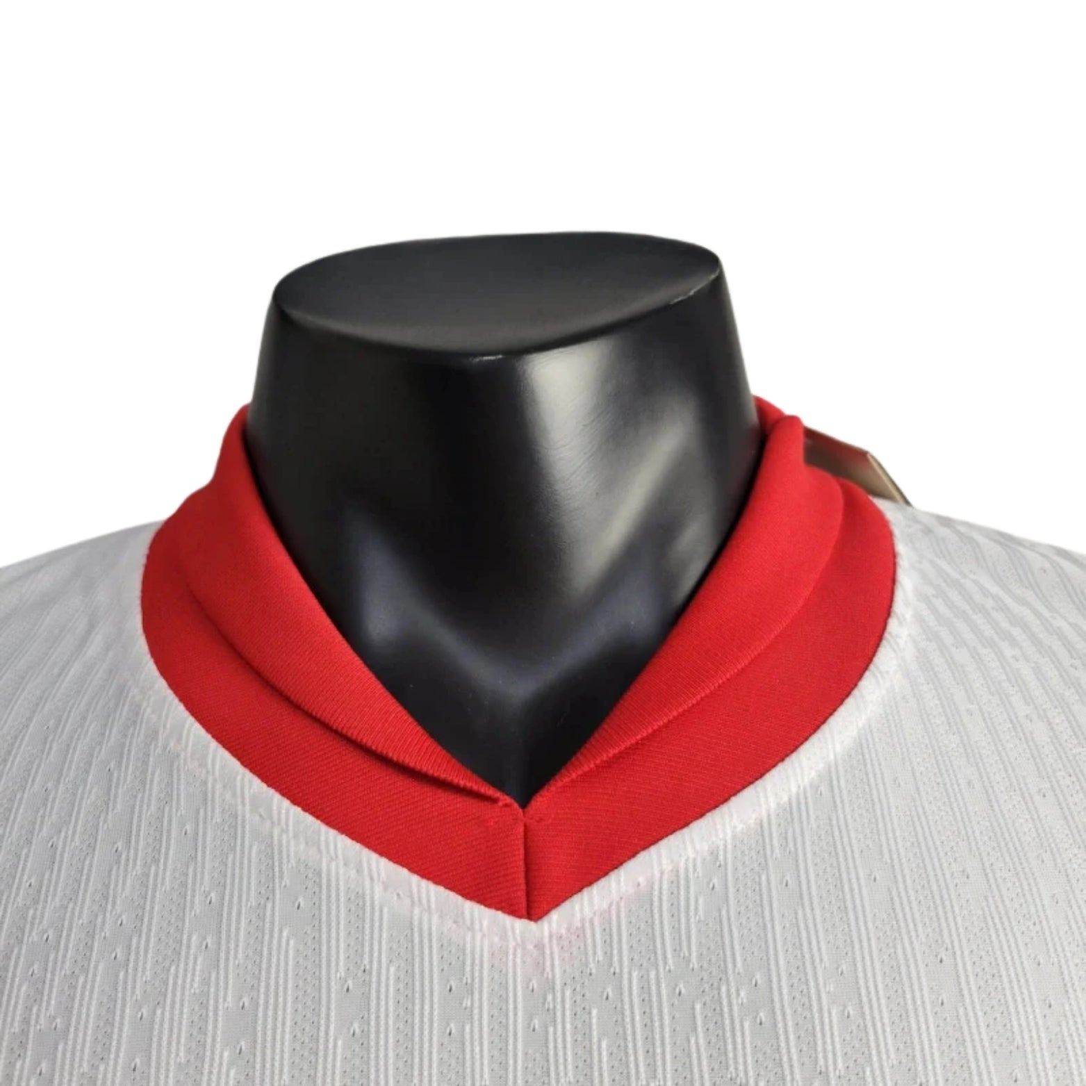 Pologne Domicile 24/25 - Version Joueur