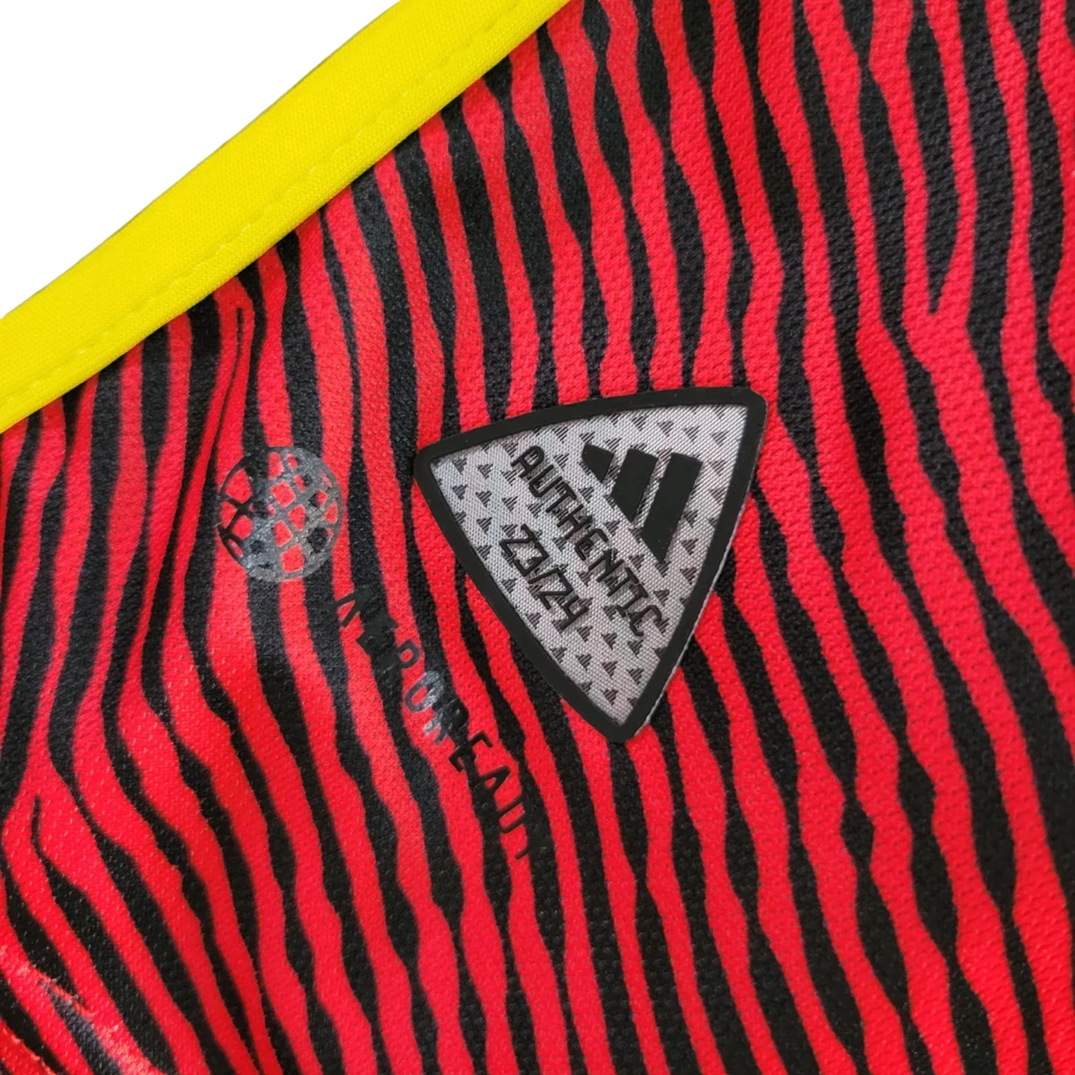 Seattle Extérieur 23/24 - Version Joueur