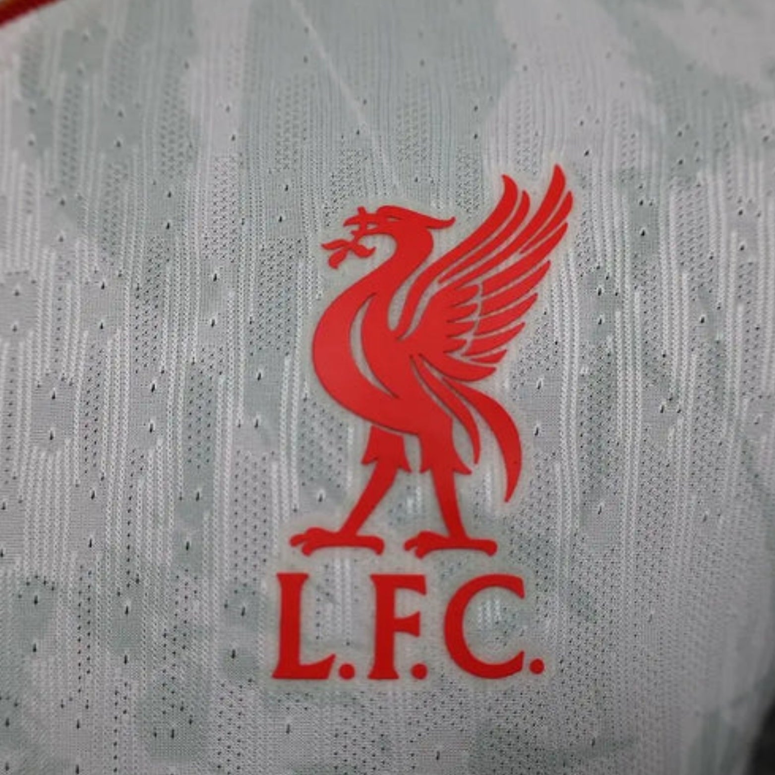 Liverpool Troisième 24/25 - Version Joueur