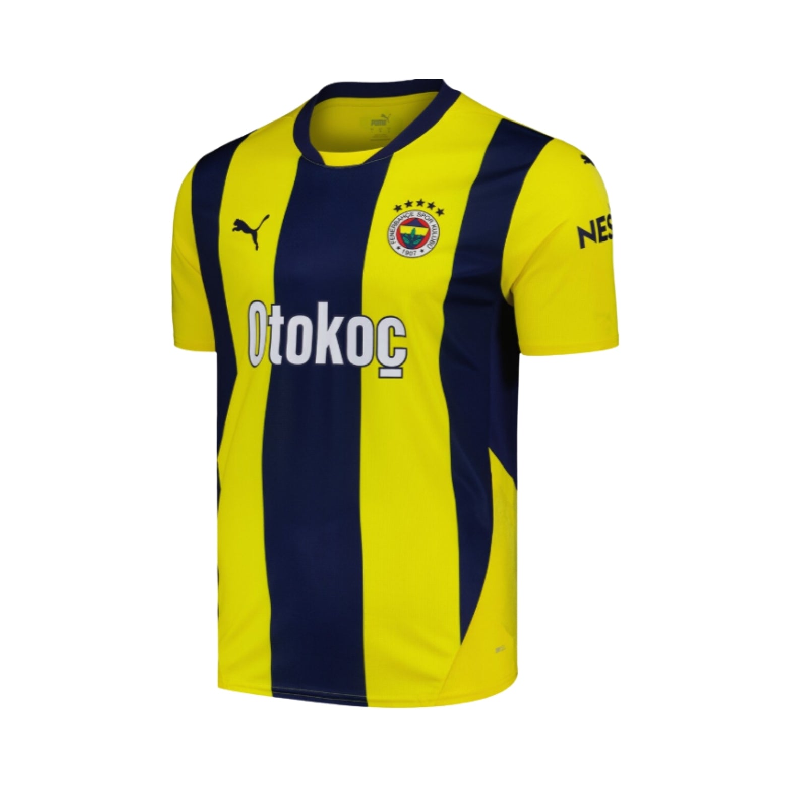 Fenerbahce Domicile 24/25