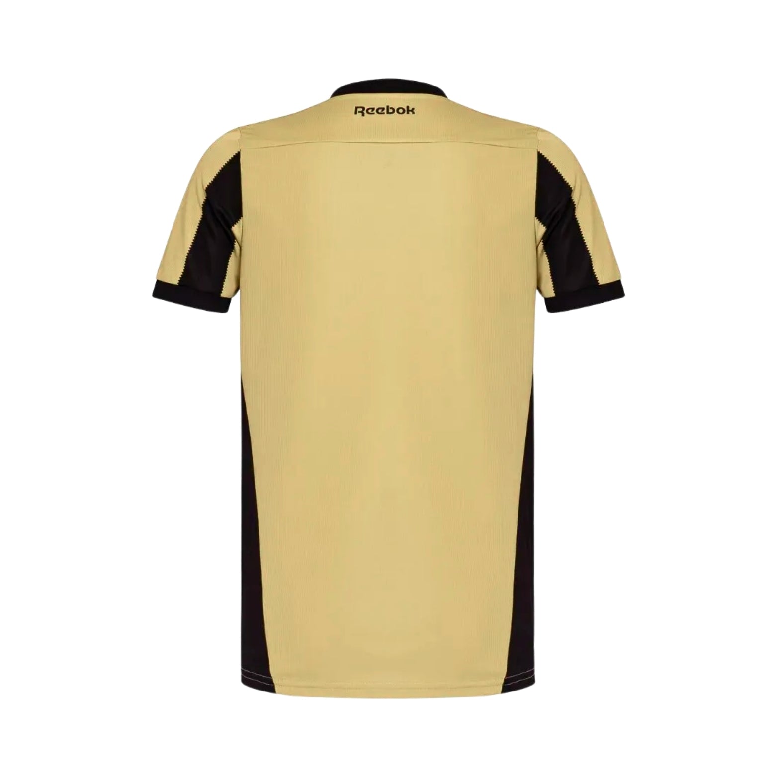 Botafogo Gardiens de But 24/25