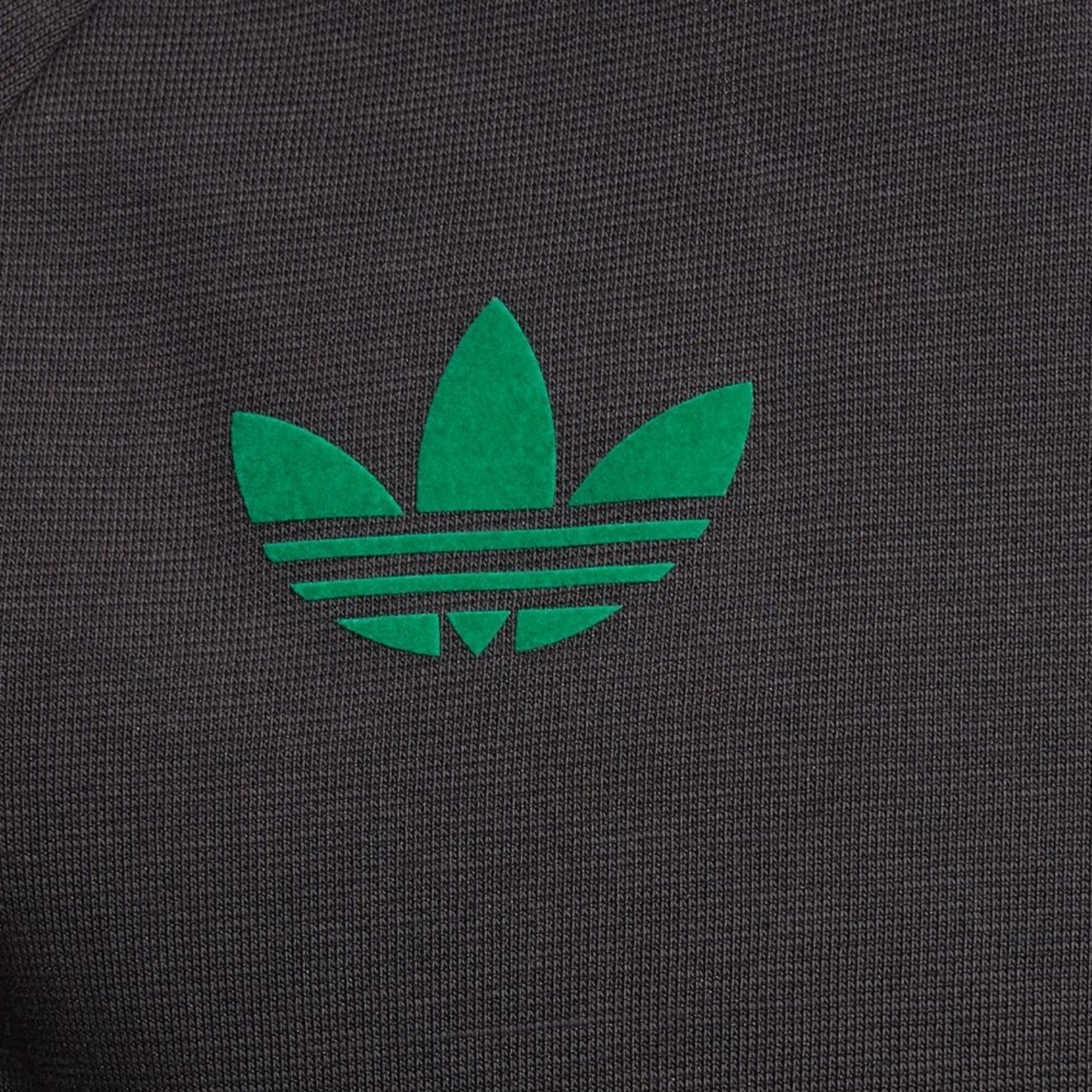 Jamaica Édition Spéciale 24/25