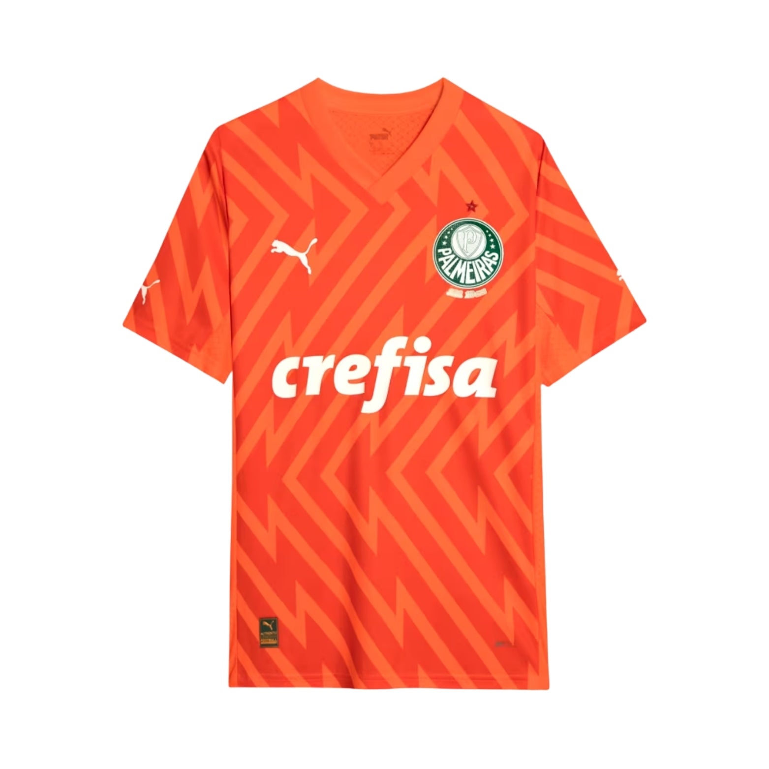 Palmeiras Gardiens de But 24/25