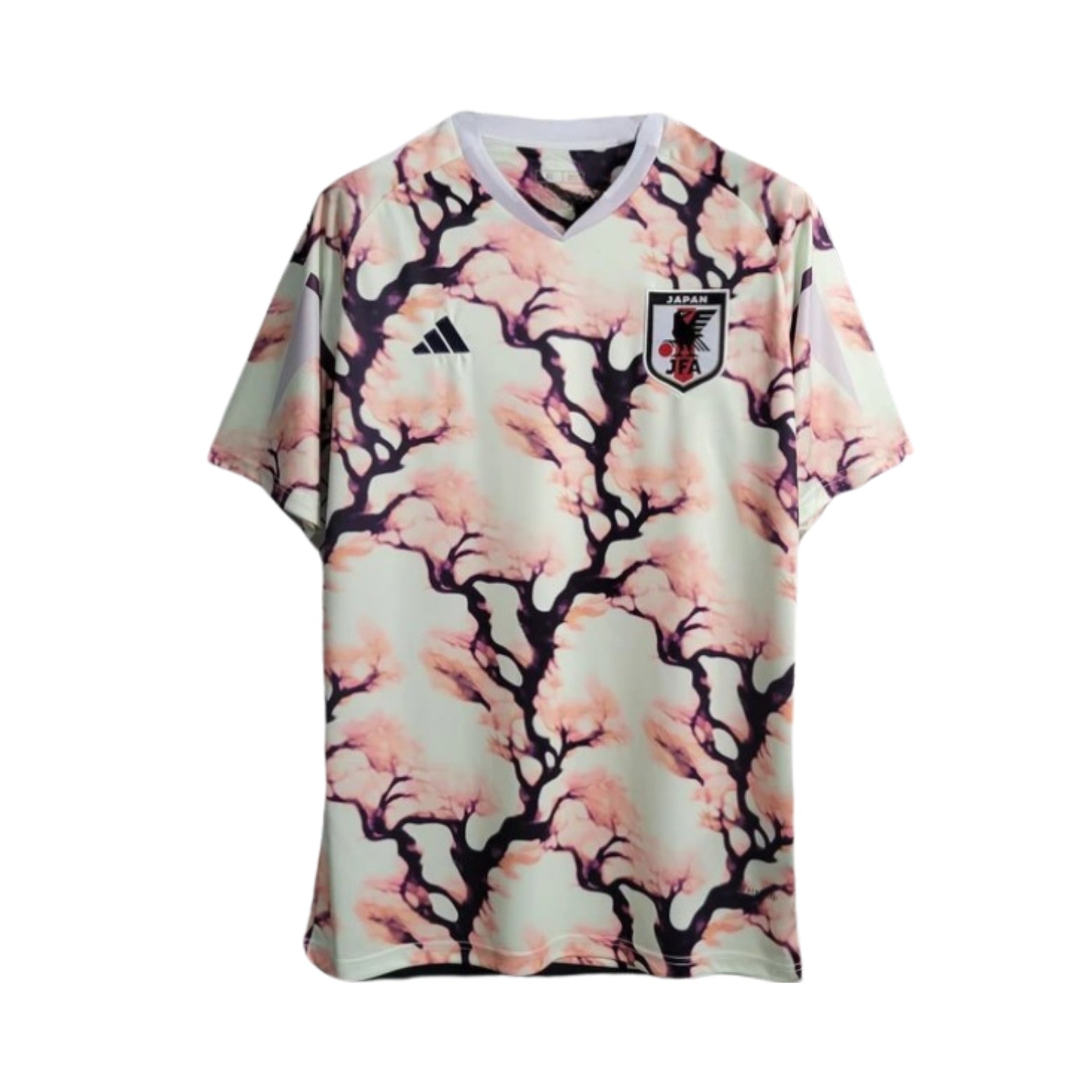 Japon Édition Spéciale 24/25