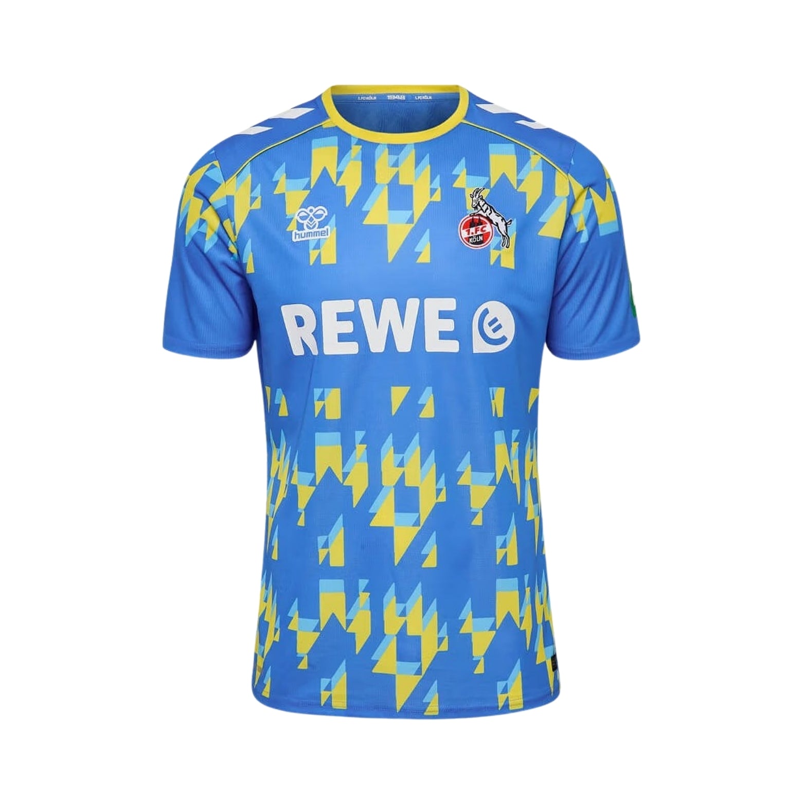 FC Köln Gardiens de But 25/26