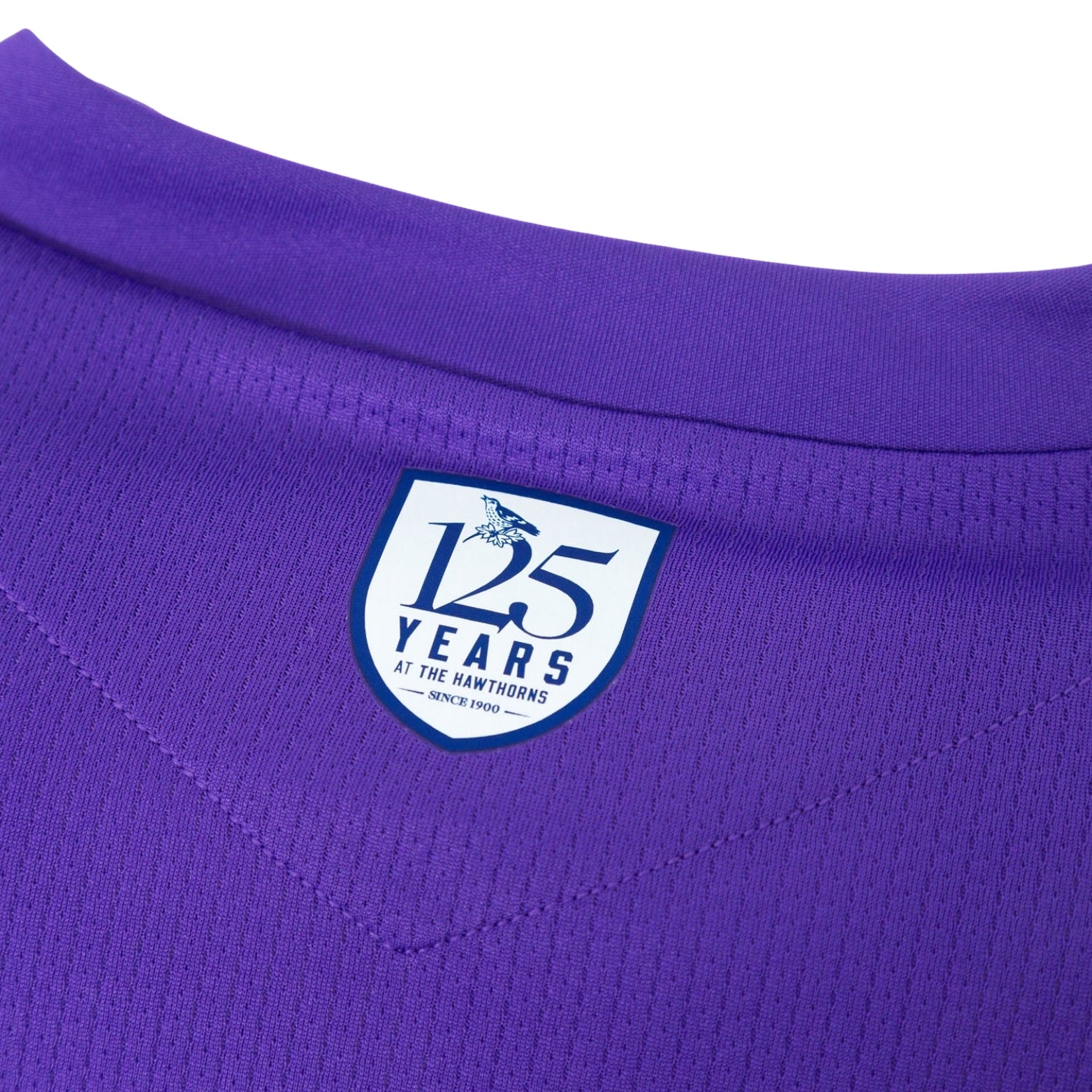 West Bromwich Albion Gardiens de But 25/26