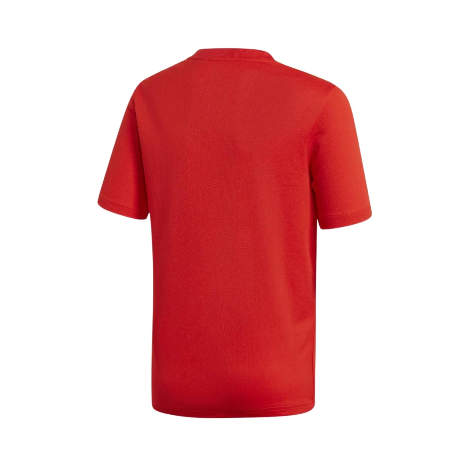 Espagne Domicile 18/19