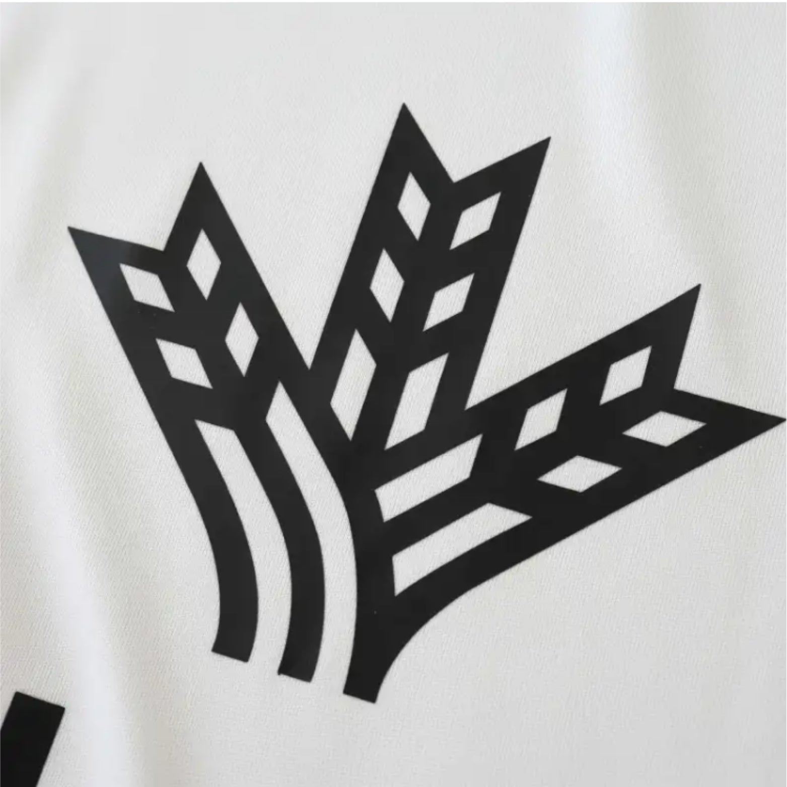 Albacete Domicile 24/25