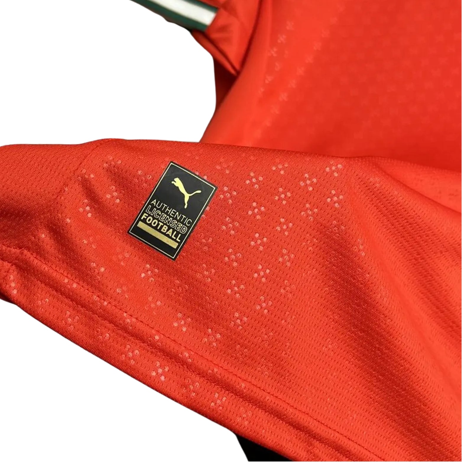 Portugal Domicile 25/26 - Coupe du Monde 2026 - DIOGO J. 21