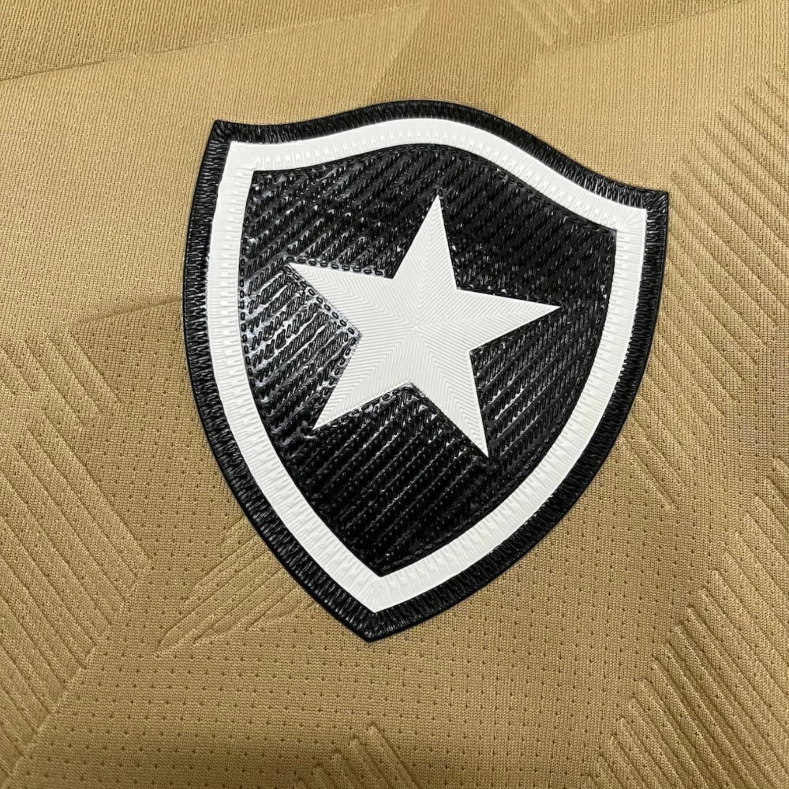 Botafogo Gardiens de But 24/25