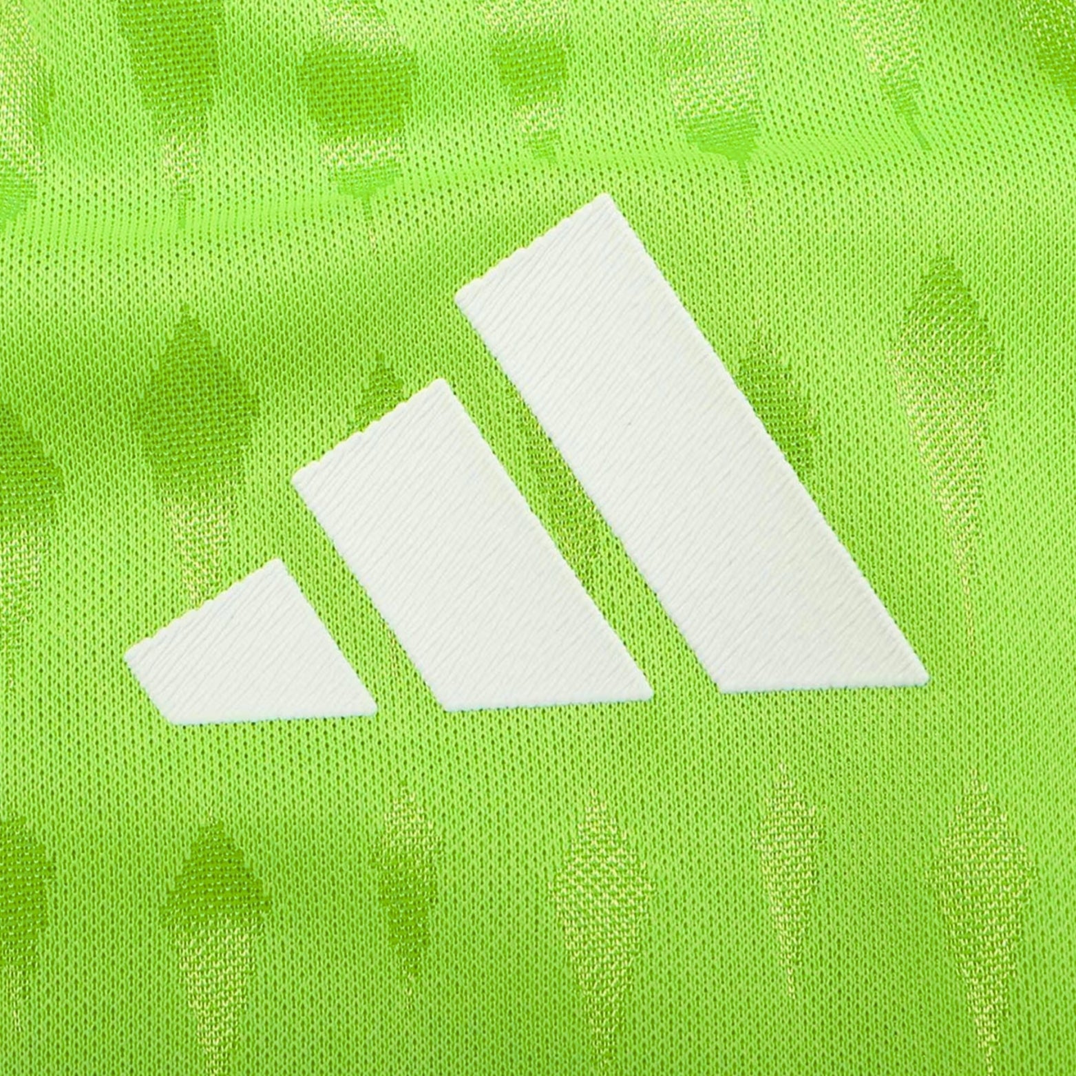 UANL Tigres Gardiens de But 24/25