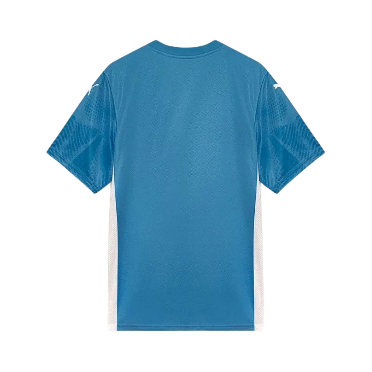 Palmeiras Gardiens de But 25/26