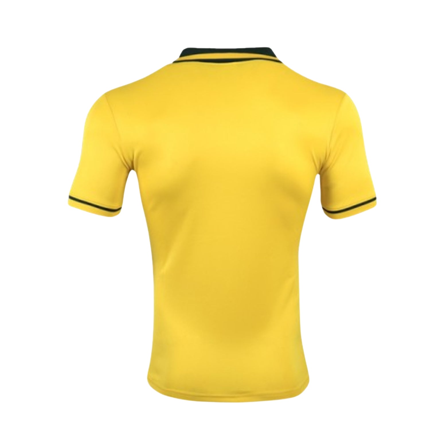 Brésil Domicile 94/95