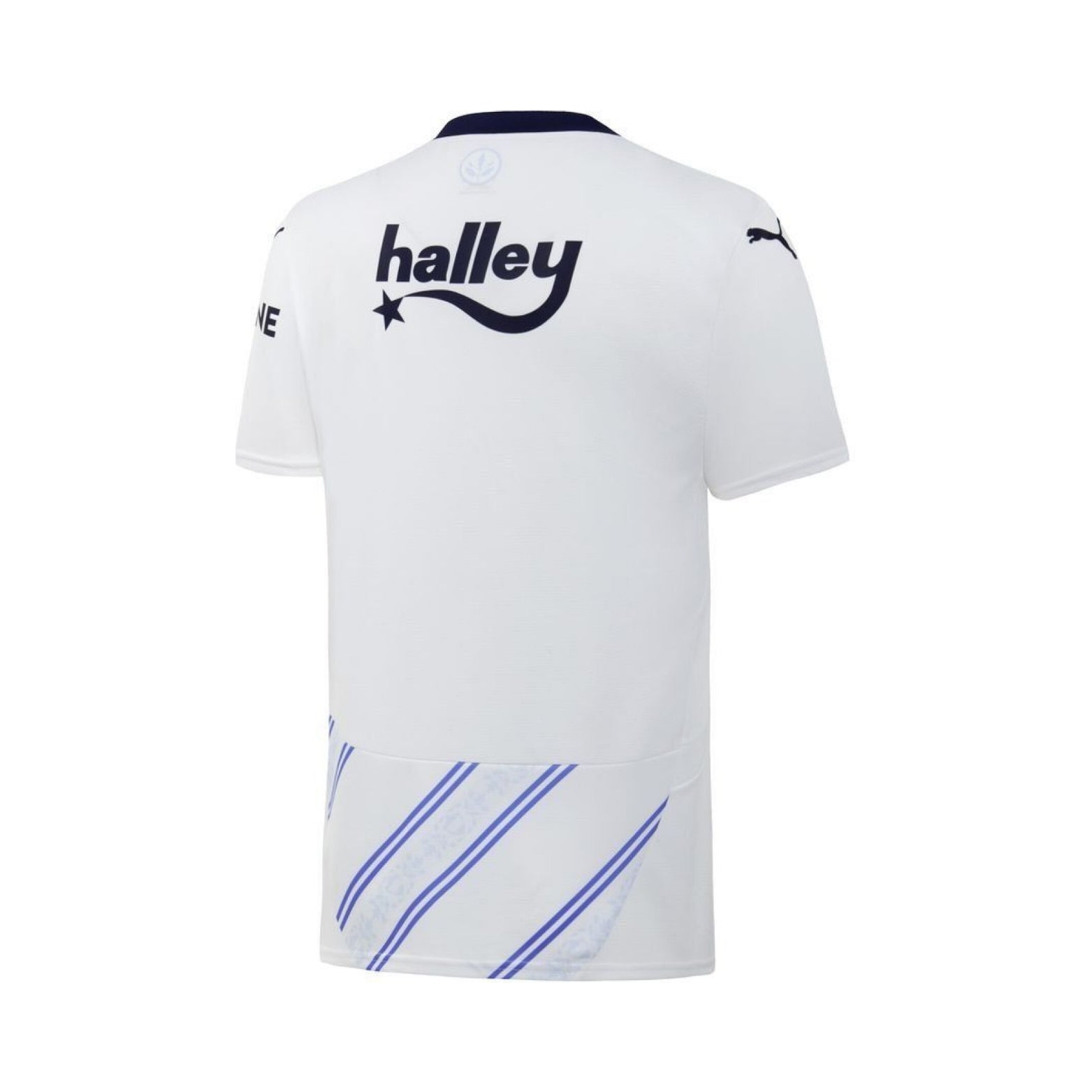 Fenerbahce Extérieur 24/25