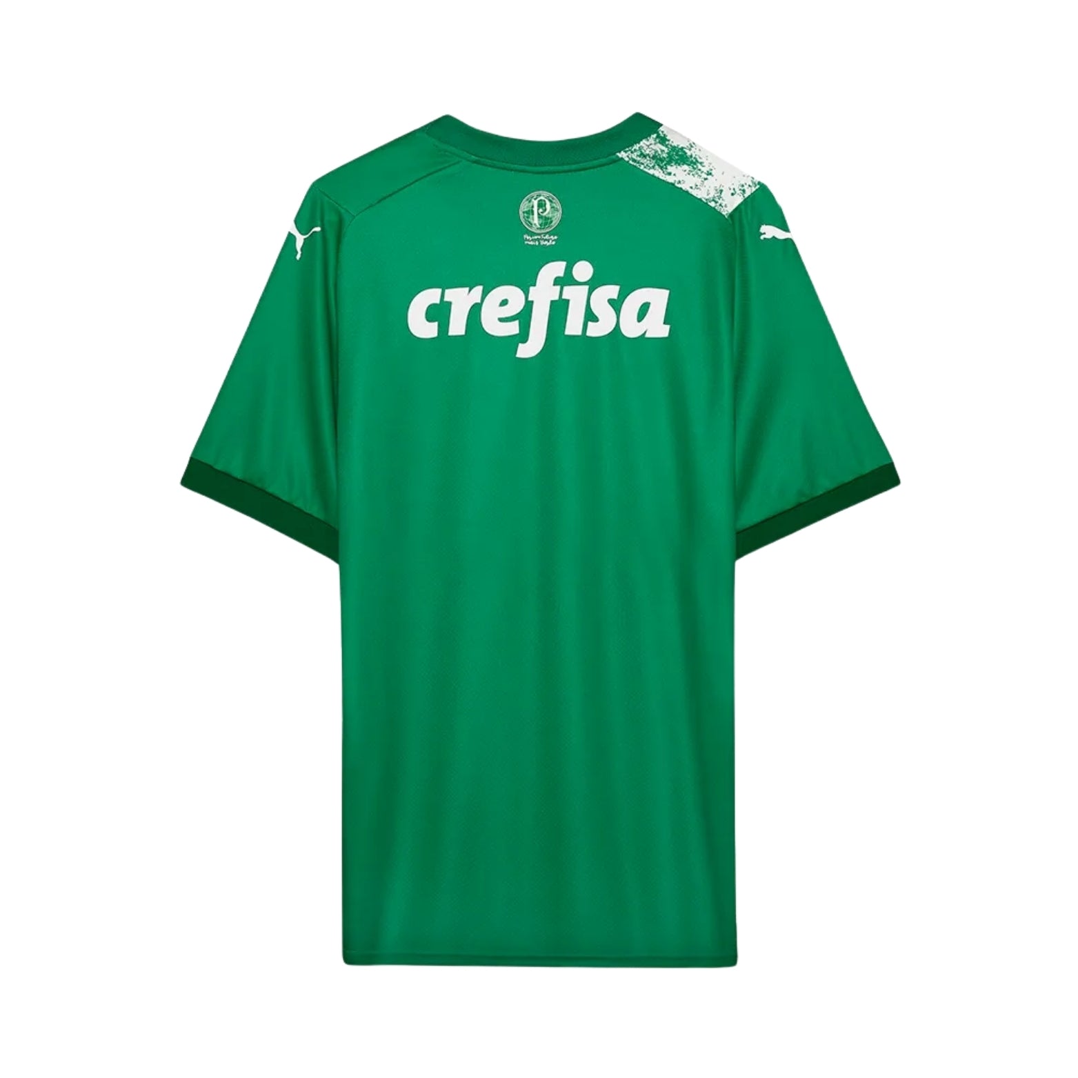 Palmeiras Édition Speciale 24/25