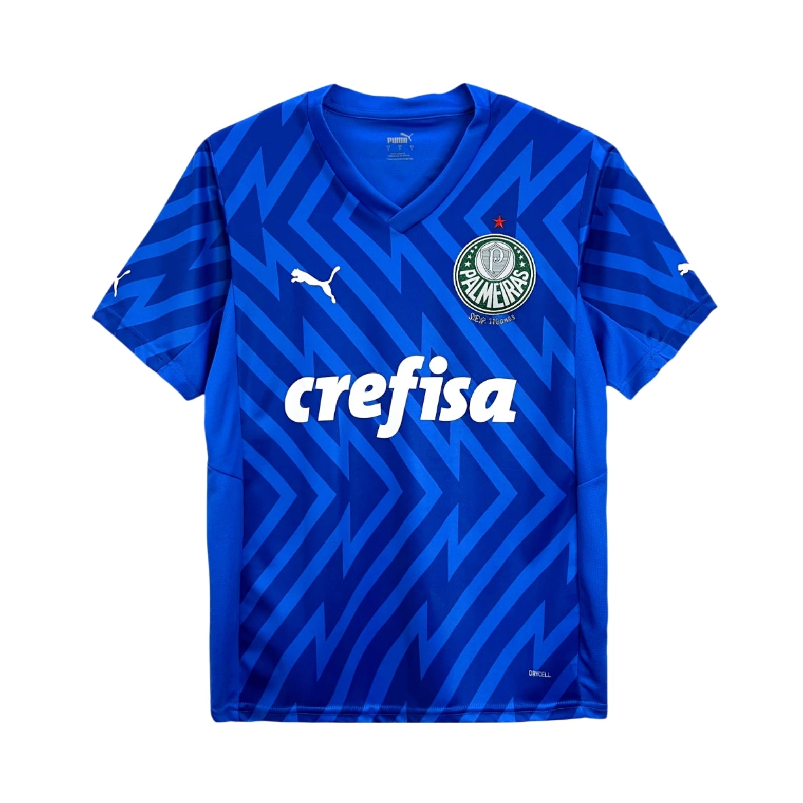 Palmeiras Gardiens de But 24/25