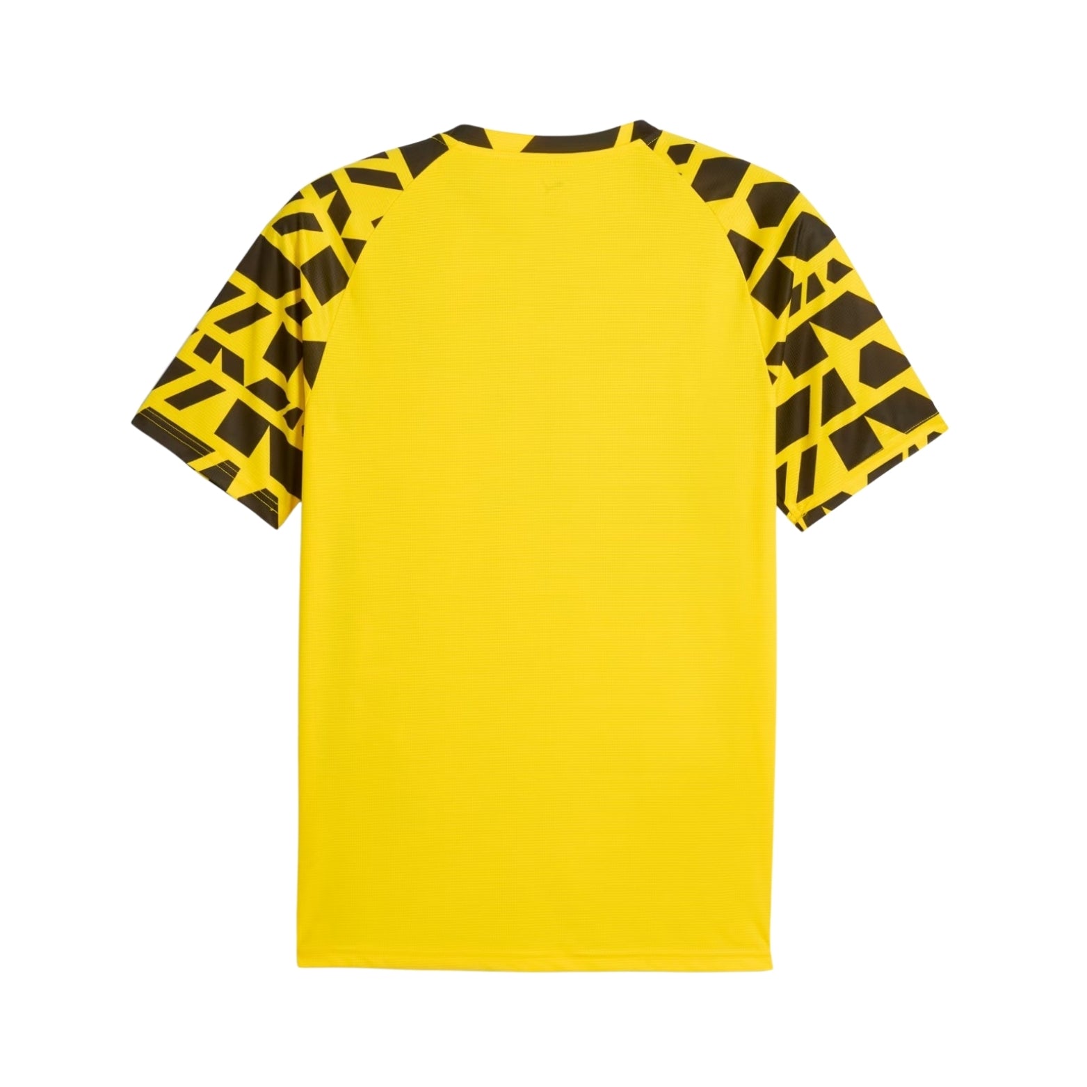 Borussia Dortmund Avant-Match 25/26